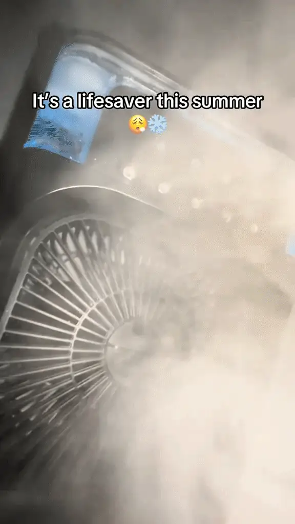 Icy Blast Fan™